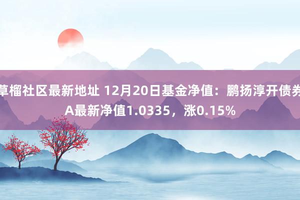 草榴社区最新地址 12月20日基金净值：鹏扬淳开债券A最新净值1.0335，涨0.15%