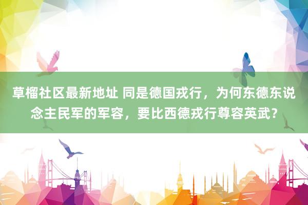 草榴社区最新地址 同是德国戎行，为何东德东说念主民军的军容，要比西德戎行尊容英武？