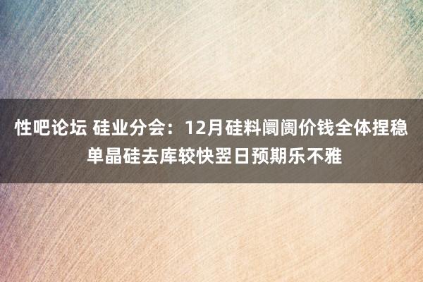 性吧论坛 硅业分会：12月硅料阛阓价钱全体捏稳 单晶硅去库较快翌日预期乐不雅