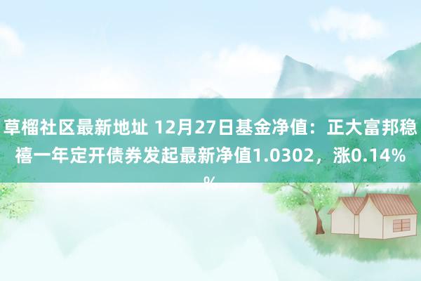 草榴社区最新地址 12月27日基金净值：正大富邦稳禧一年定开债券发起最新净值1.0302，涨0.14%