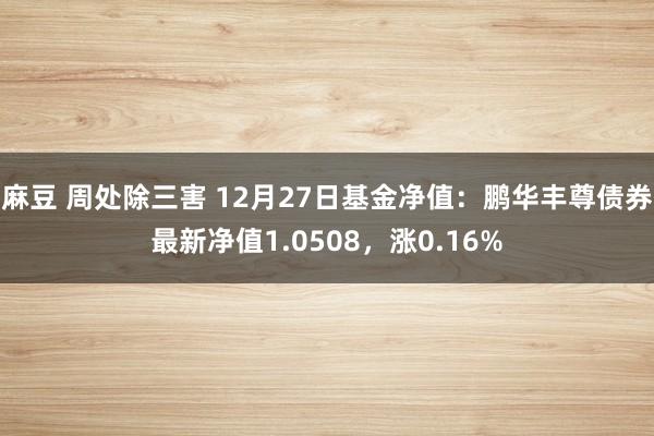 麻豆 周处除三害 12月27日基金净值：鹏华丰尊债券最新净值1.0508，涨0.16%