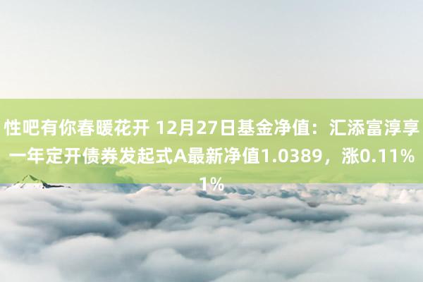 性吧有你春暖花开 12月27日基金净值：汇添富淳享一年定开债券发起式A最新净值1.0389，涨0.11%