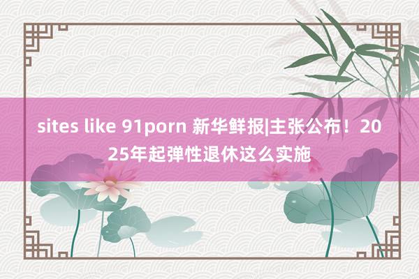 sites like 91porn 新华鲜报|主张公布！2025年起弹性退休这么实施