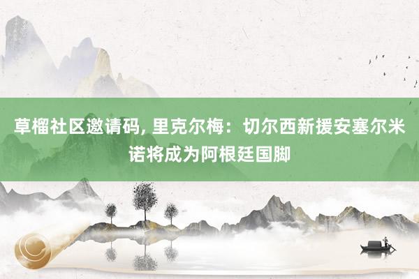 草榴社区邀请码, 里克尔梅：切尔西新援安塞尔米诺将成为阿根廷国脚