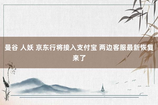 曼谷 人妖 京东行将接入支付宝 两边客服最新恢复来了