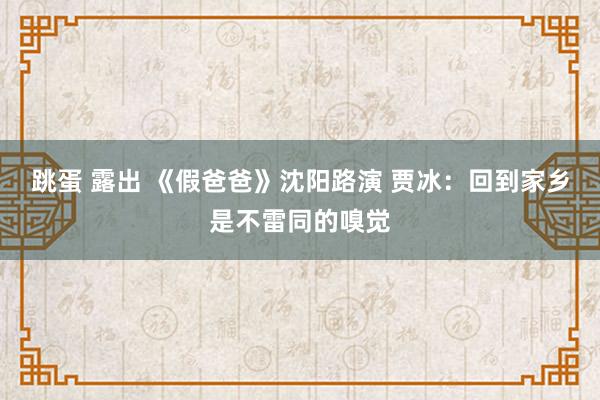 跳蛋 露出 《假爸爸》沈阳路演 贾冰：回到家乡是不雷同的嗅觉