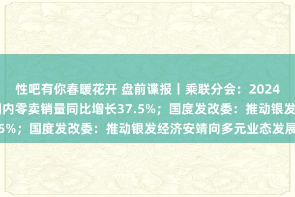 性吧有你春暖花开 盘前谍报丨乘联分会：2024年12月新动力乘用车国内零卖销量同比增长37.5%；国度发改委：推动银发经济安靖向多元业态发展