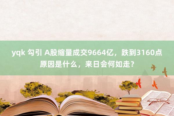 yqk 勾引 A股缩量成交9664亿，跌到3160点原因是什么，来日会何如走？