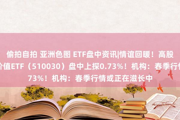 偷拍自拍 亚洲色图 ETF盘中资讯|情谊回暖！高股息开盘拉升，价值ETF（510030）盘中上探0.73%！机构：春季行情或正在滋长中