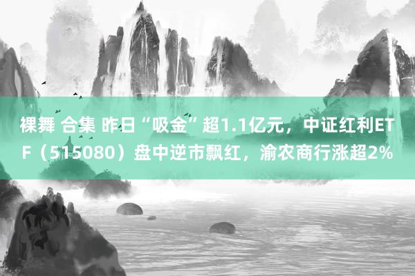 裸舞 合集 昨日“吸金”超1.1亿元，中证红利ETF（515080）盘中逆市飘红，渝农商行涨超2%