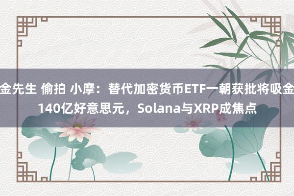 金先生 偷拍 小摩：替代加密货币ETF一朝获批将吸金140亿好意思元，Solana与XRP成焦点