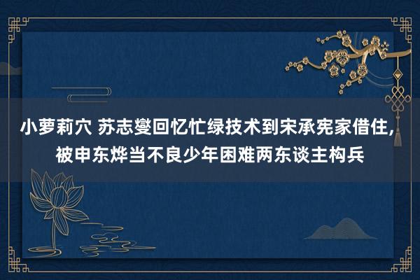 小萝莉穴 苏志燮回忆忙绿技术到宋承宪家借住, 被申东烨当不良少年困难两东谈主构兵